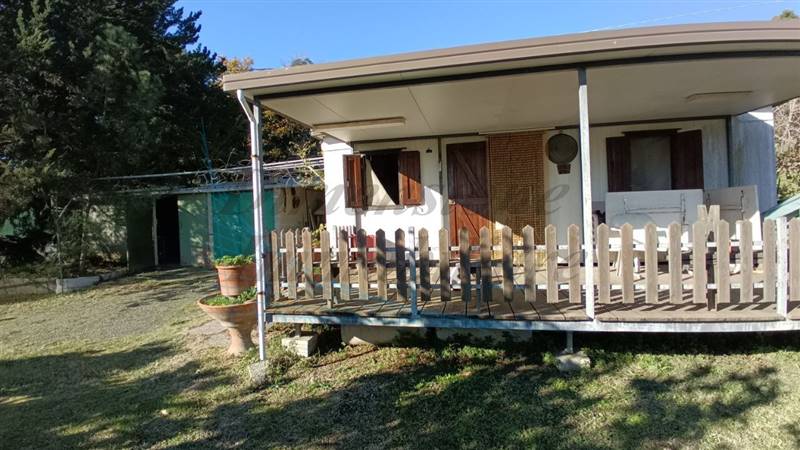 photo1702813159 (4).jpeg