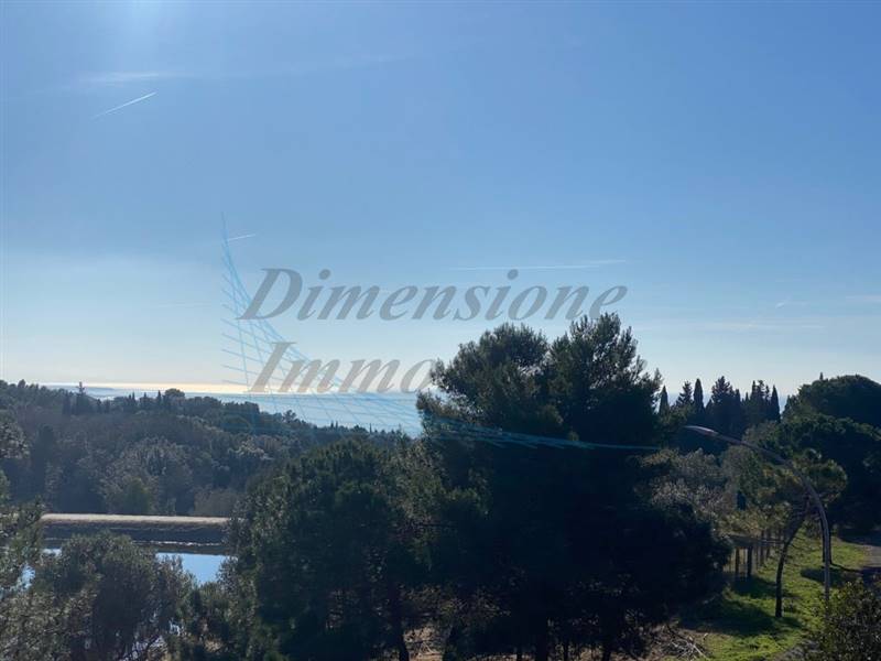 IMG_2725 (FILEminimizer).jpg