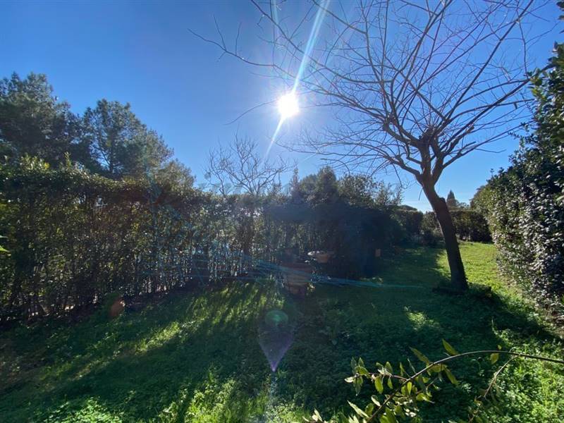 IMG_2731 (FILEminimizer).jpg