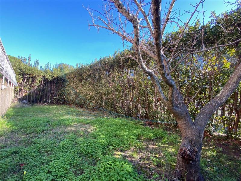 IMG_2740 (FILEminimizer).jpg