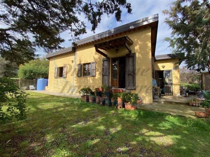 IMG_3389 (FILEminimizer).jpg