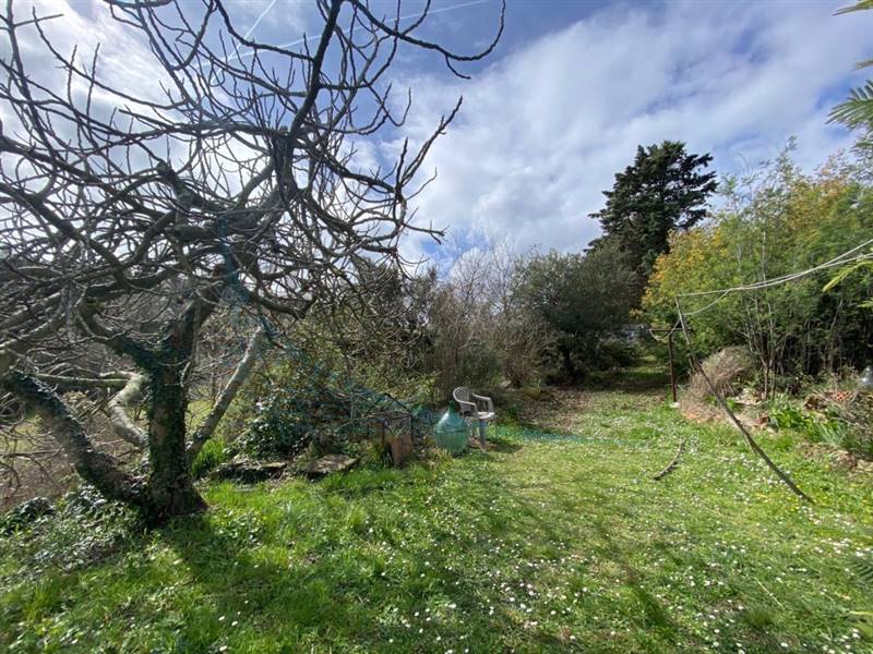 IMG_3402 (FILEminimizer).jpg