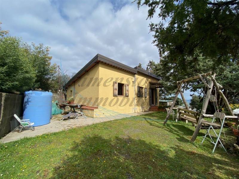 IMG_3384 (FILEminimizer).jpg