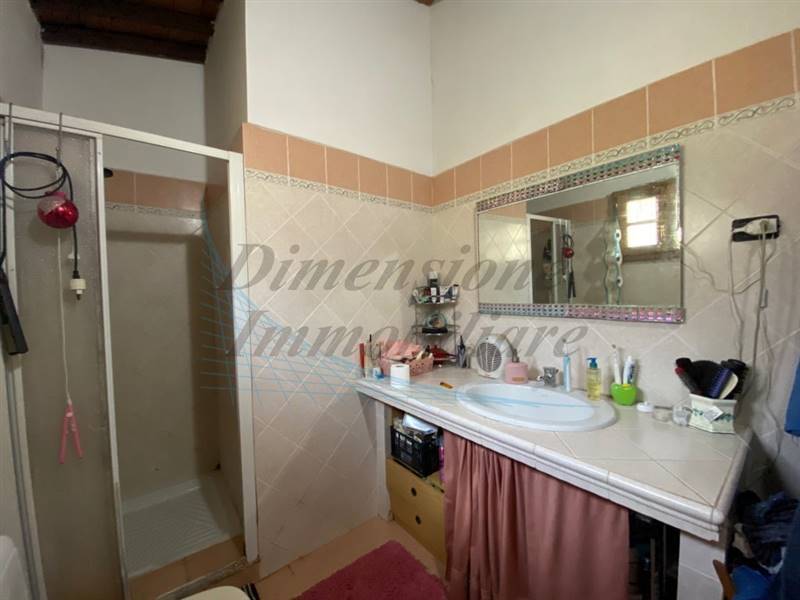 IMG_3393 (FILEminimizer).jpg