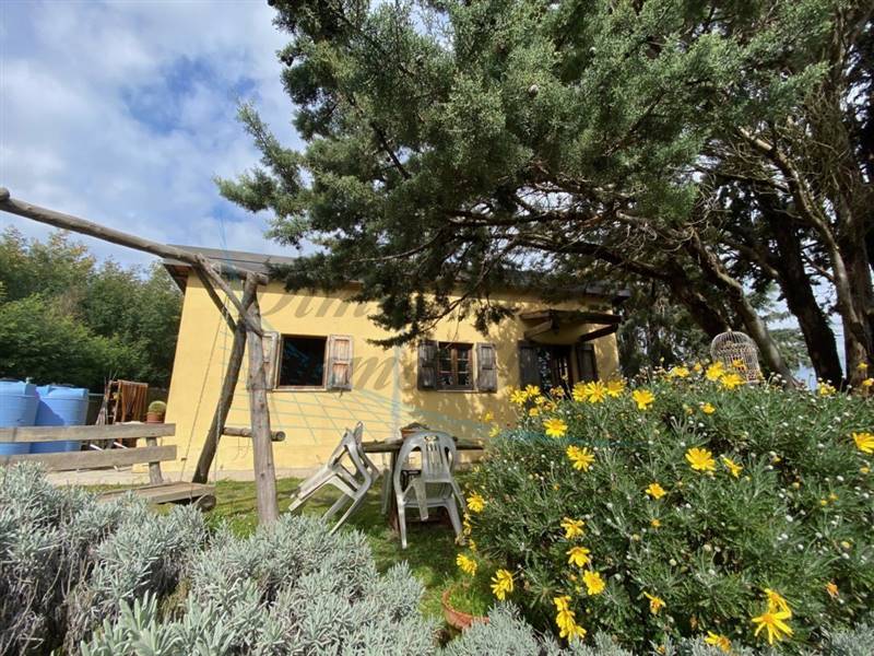 IMG_3387 (FILEminimizer).jpg