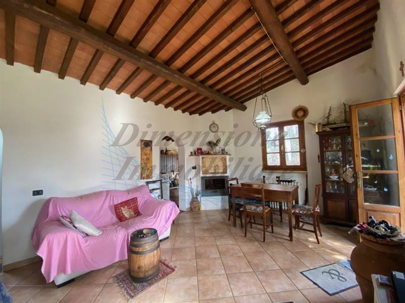 IMG_3392 (FILEminimizer).jpg