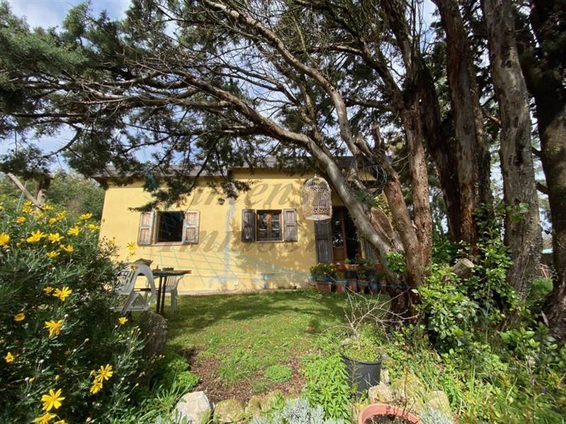 IMG_3388 (FILEminimizer).jpg