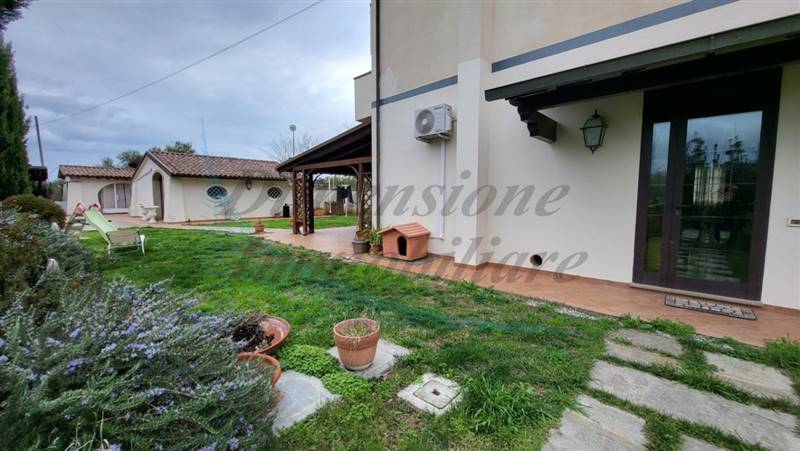 20240304_152144 (FILEminimizer).jpg