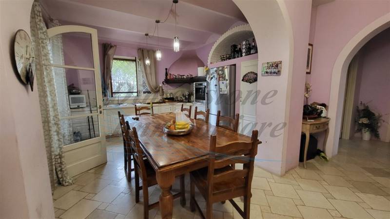 20240304_152520 (FILEminimizer).jpg