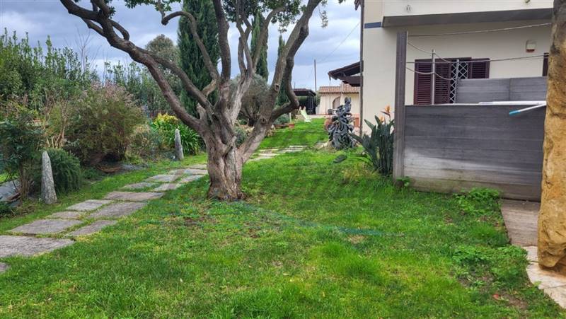 20240304_152052 (FILEminimizer).jpg