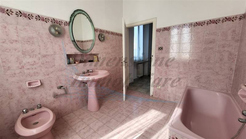 20240312_113628 (FILEminimizer).jpg