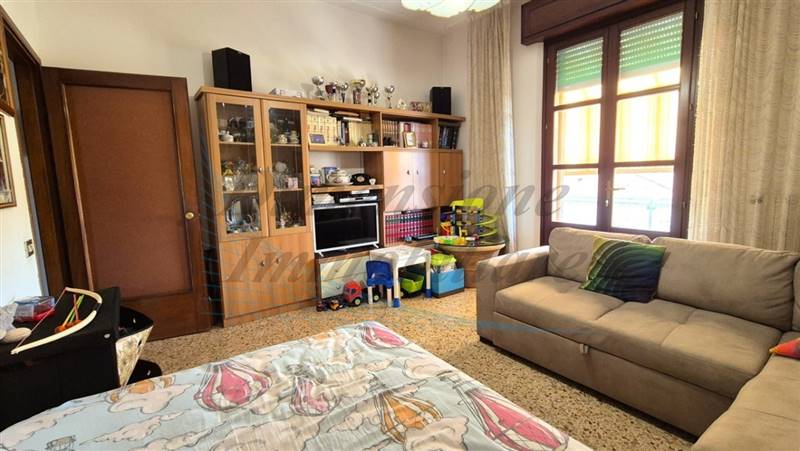 20240729_153749 (FILEminimizer).jpg