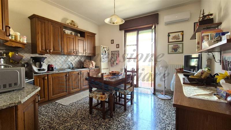 20240729_155022 (FILEminimizer).jpg