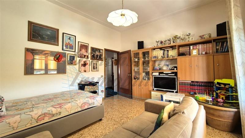 20240729_153731 (FILEminimizer).jpg