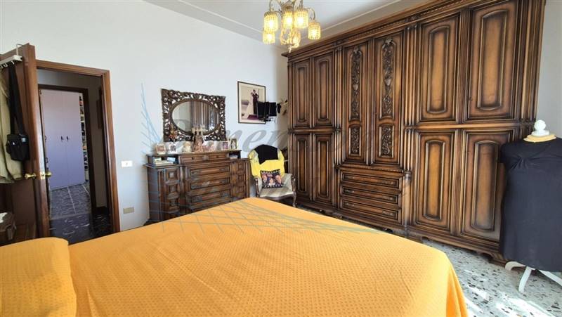 20240729_154808 (FILEminimizer).jpg