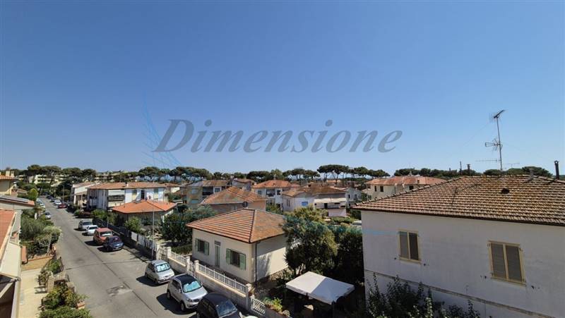 20240729_153856 (FILEminimizer).jpg