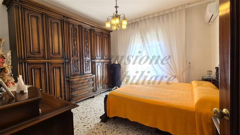 20240729_154727 (FILEminimizer).jpg