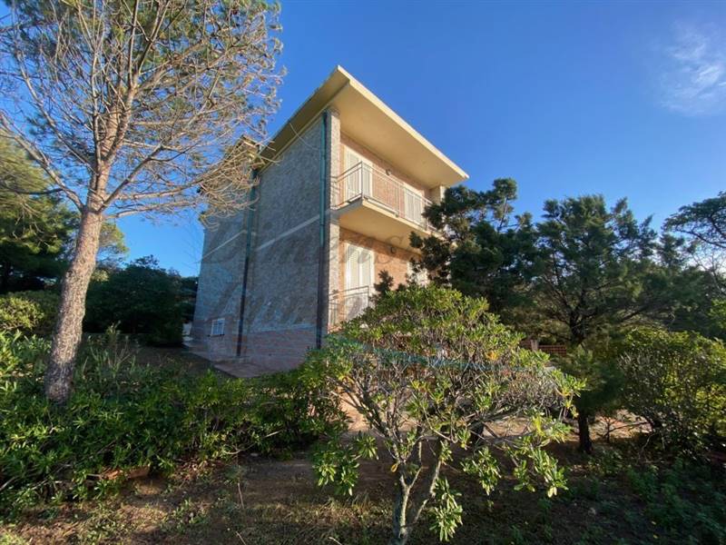 IMG_1758 (FILEminimizer).jpg