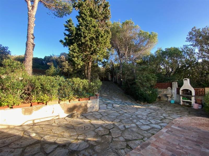 IMG_1753 (FILEminimizer).jpg