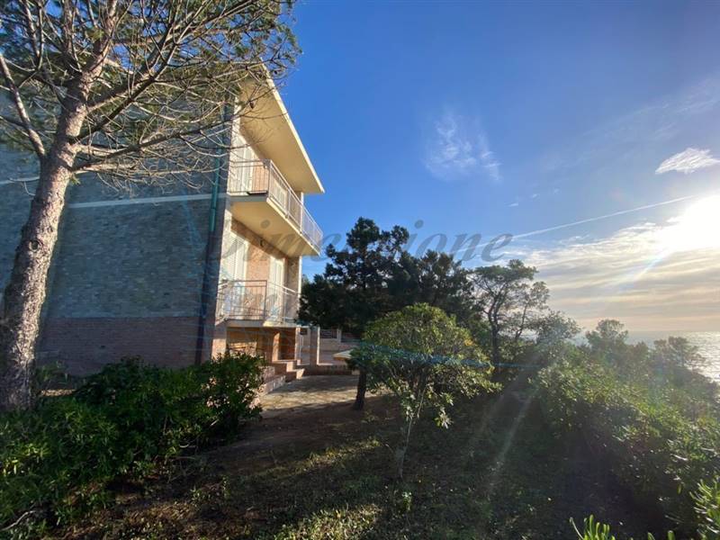 IMG_1757 (FILEminimizer).jpg