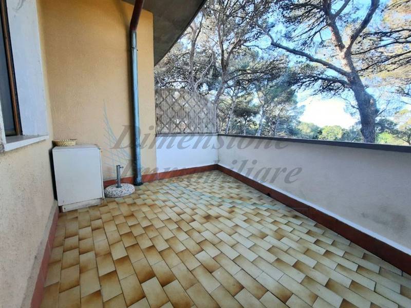 photo_5915604030858575874_y (FILEminimizer).jpg