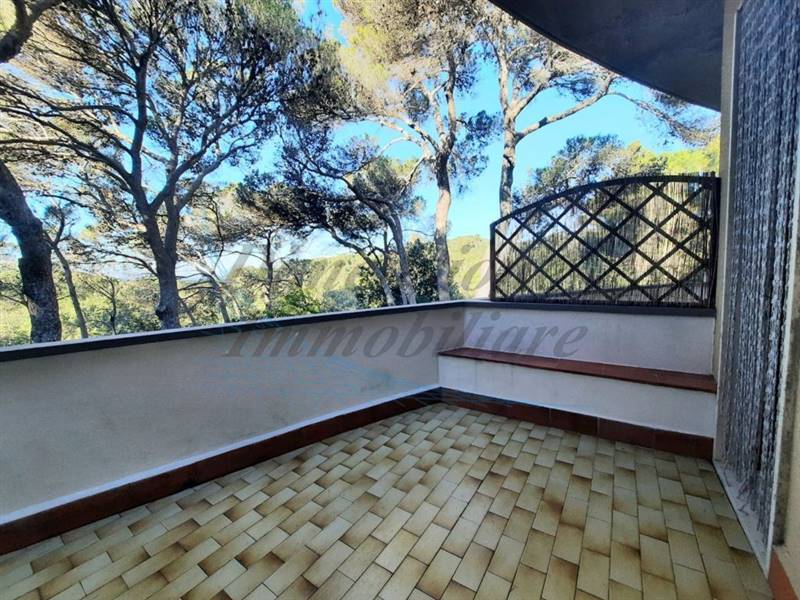 photo_5915604030858575873_y (FILEminimizer).jpg