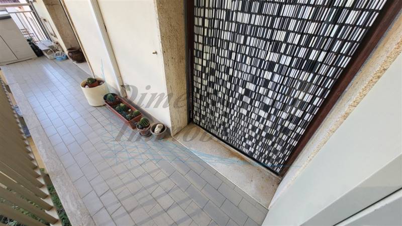 20240413_104923 (FILEminimizer).jpg