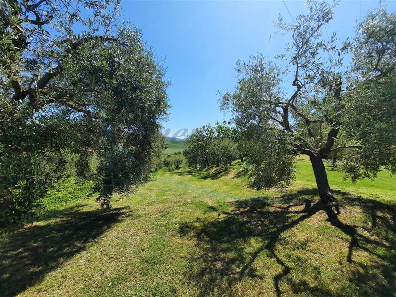 photo1715761812 (5).jpeg