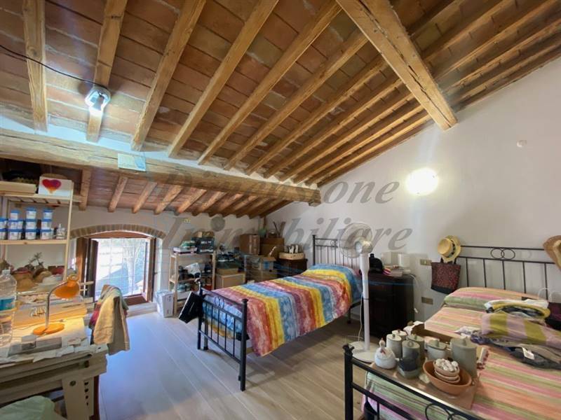 IMG_3315 (FILEminimizer).jpg