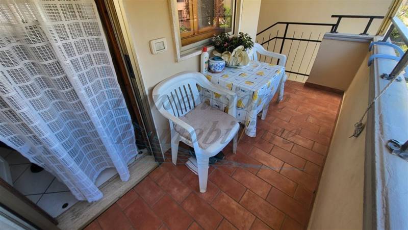 20240612_125028 (FILEminimizer).jpg