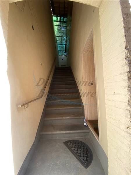 IMG_5969 (FILEminimizer).jpg