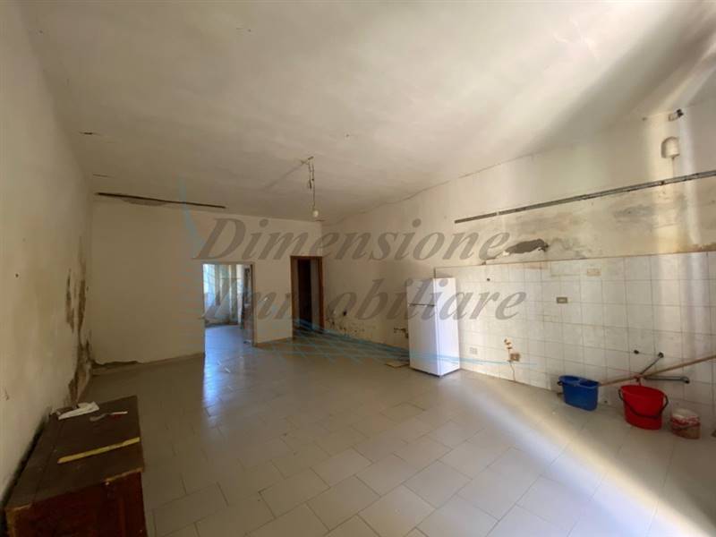 IMG_5972 (FILEminimizer).jpg