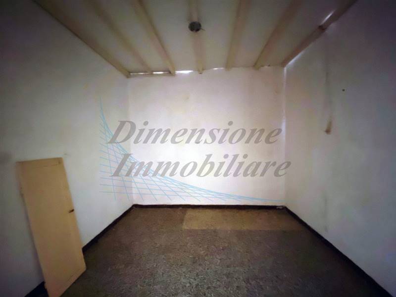 IMG_5960 (FILEminimizer).jpg