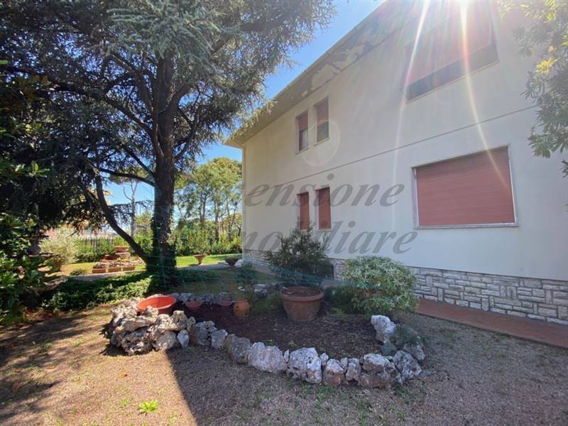 IMG_5775 (FILEminimizer).jpg