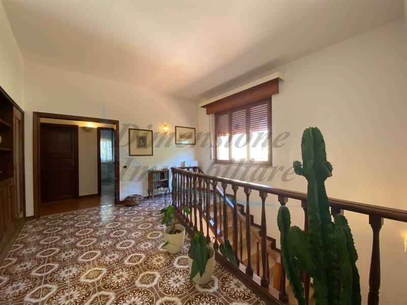 IMG_5783 (FILEminimizer).jpg