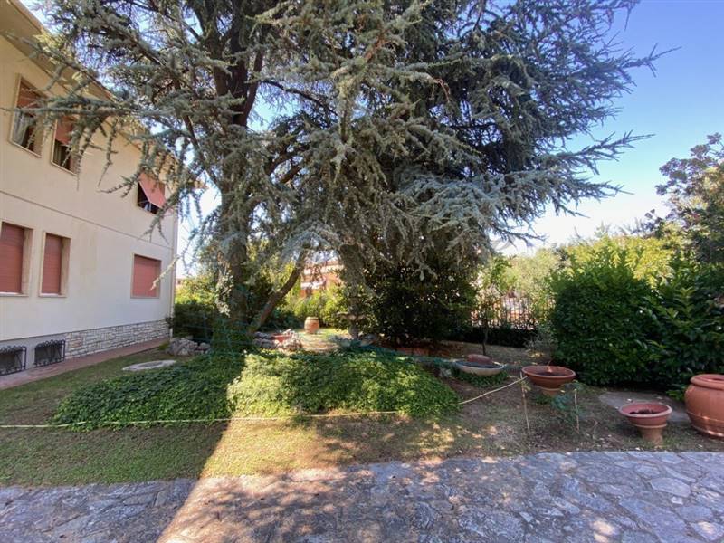 IMG_5778 (FILEminimizer).jpg