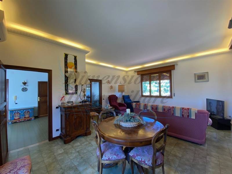 IMG_5791 (FILEminimizer).jpg