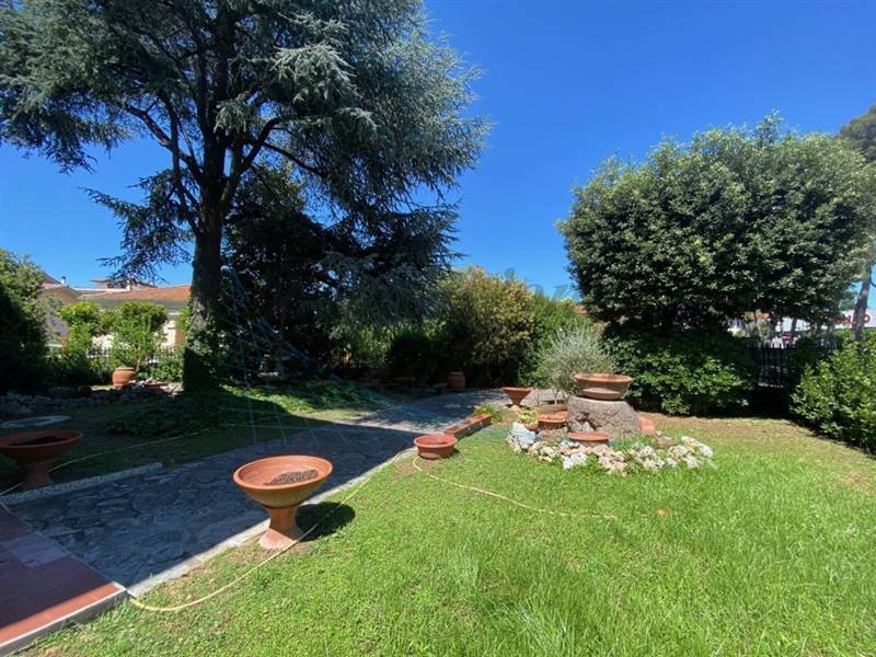 IMG_5774 (FILEminimizer).jpg