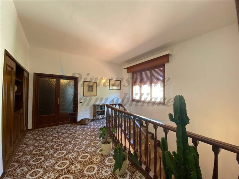 IMG_5784 (FILEminimizer).jpg