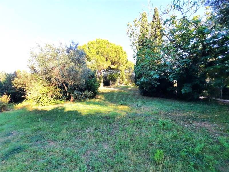 photo_5798386569395161002_y (FILEminimizer).jpg