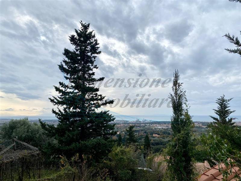 WhatsApp Image 2025-01-16 at 12.10.51.jpeg