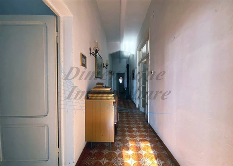 IMG_7809 (FILEminimizer)m.jpg