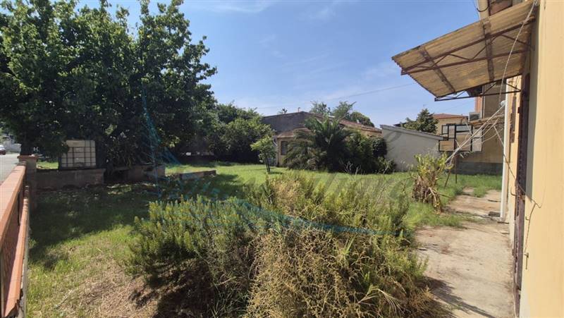 20240831_121215 (FILEminimizer).jpg