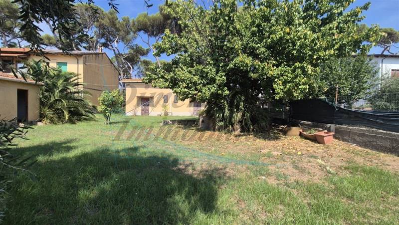 20240831_120956 (FILEminimizer).jpg