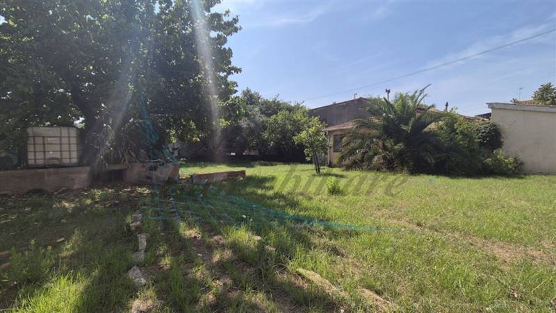 20240831_121017 (FILEminimizer).jpg