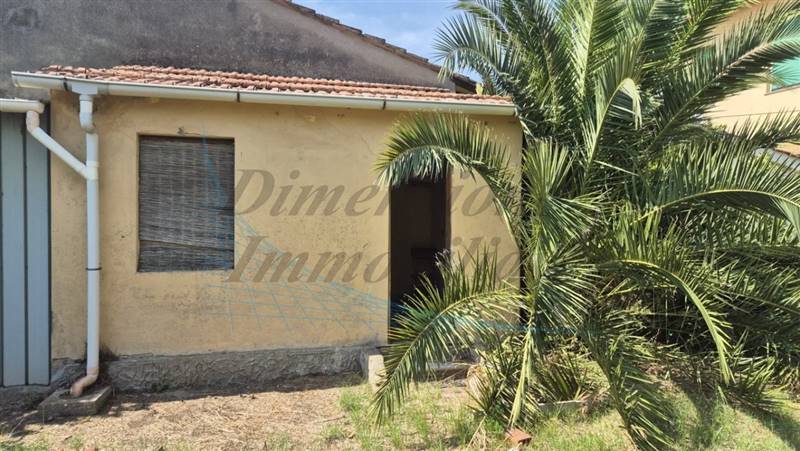 20240831_120914 (FILEminimizer).jpg