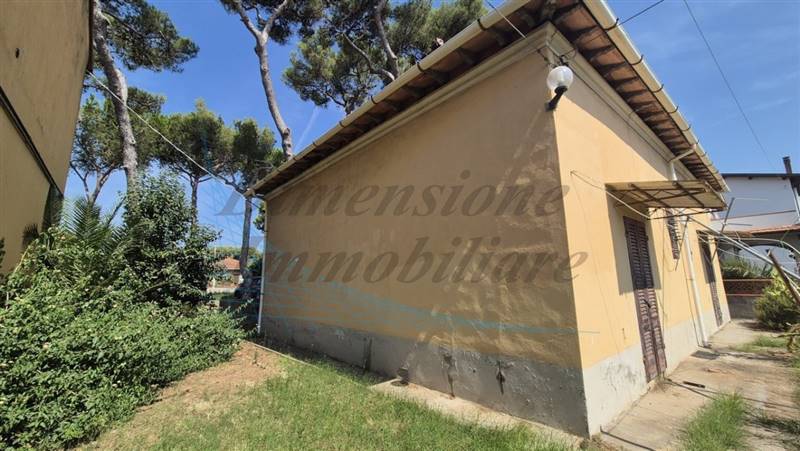 20240831_121047 (FILEminimizer).jpg