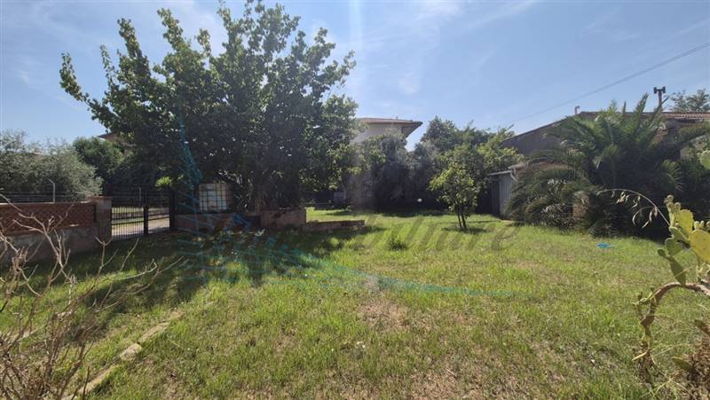 20240831_121024 (FILEminimizer).jpg