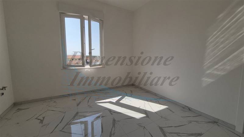 20240822_104302 (FILEminimizer).jpg