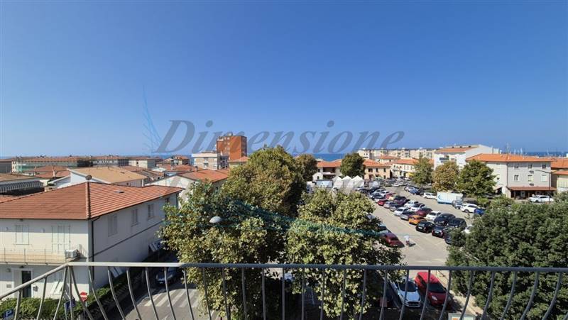 20240822_104040 (FILEminimizer).jpg